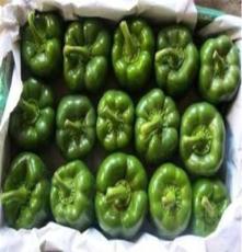 青椒尖椒-纯天然出口青椒-尖椒-绿色蔬菜青椒青椒尖椒尖椒