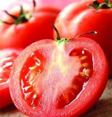 批发零售番茄 供应优质番茄
