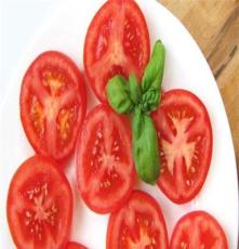 万全农业 农产品 厂家直销 番茄 大量批发销售 精选西红柿