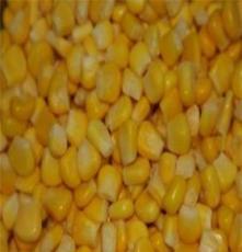 速冻玉米粒价格 速冻玉米粒批发 速冻玉米粒厂家 嘉恒农业