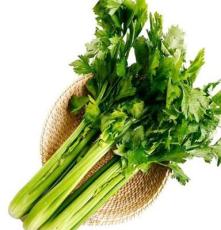 山东济宁 低价供应优质绿色蔬菜