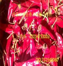 内蒙古开鲁县北京红 金塔 六寸红 千金红干辣椒价格
