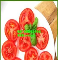 大果型奥宝美粉西红柿种子 番茄种子 西红柿种子批发