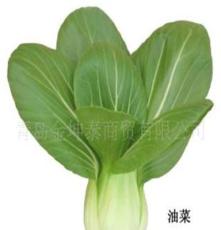 山东优质绿色食品蔬菜