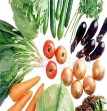 专业生产供应山东优质绿色食品蔬菜