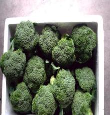 西兰花,青岛明飞厂家长期供应绿色无公害有机蔬菜.