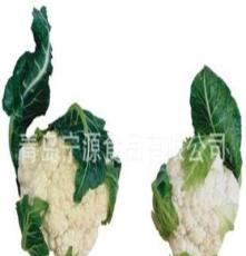 生产供应蔬菜 各种新鲜蔬菜 菜花 白菜花 绿色蔬菜