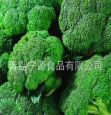 绿色蔬菜 供应多种西兰花及各种新鲜蔬菜
