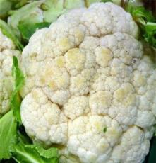 新鲜白菜花大量批发 青岛绿色放心蔬菜白菜花厂家直销 量大从优