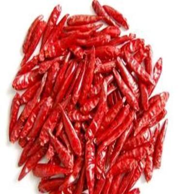 无公害优质辣椒干 各种品种的辣椒干