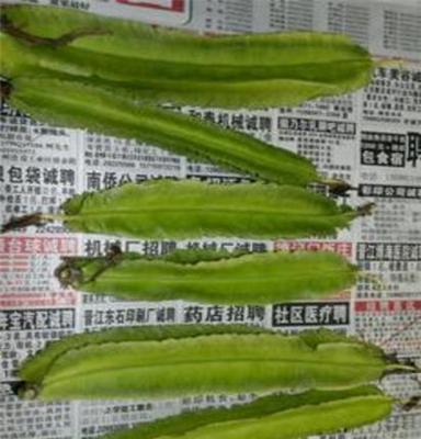 四棱豆 销售四角豆 新鲜龙豆