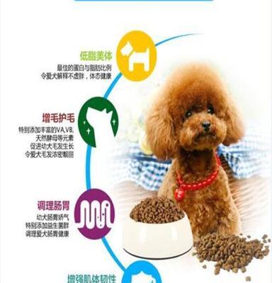 汕头边牧全犬种狗粮价格