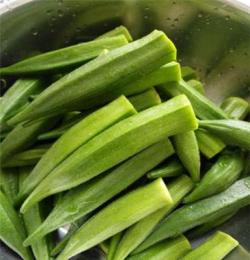供應(yīng)秋葵