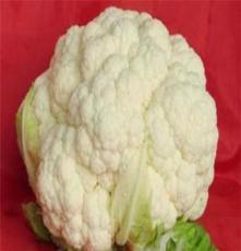 厂家直销 优质保鲜蔬菜 白菜花 欢迎选购