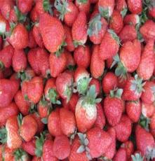新季速冻草莓丁 美十三 甜查理