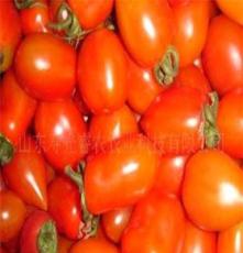 山东寿光睿农农业科技有限公司供应有机蔬菜-樱桃番茄