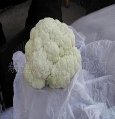 大量供应出口级保鲜白花菜