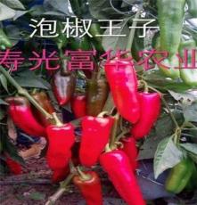 进口早熟高产泡椒种子-泡椒王子