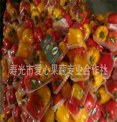 寿光礼品套菜、绿色杂粮、蔬菜种子种苗、蔬菜盆景、寿光套菜