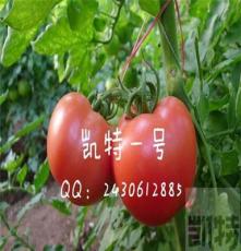 供应凯特种业粉果番茄种子--凯特一号