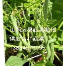 中国较大的蔬菜基地-山西应县蔬菜基地大量供应四季豆豆角等各种蔬菜-7月份上市