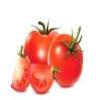 供应绿色无公害蔬菜-番茄/西红柿价格优惠，天然大棚种植