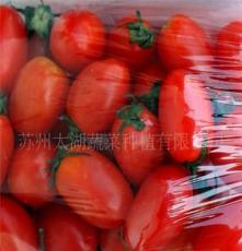 “太湖绿”番茄 苏州太湖蔬菜种植有限公司 绿色无公害蔬菜