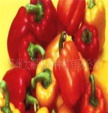 苏州太湖蔬菜种植有限公司欢迎您订购青椒 甜椒