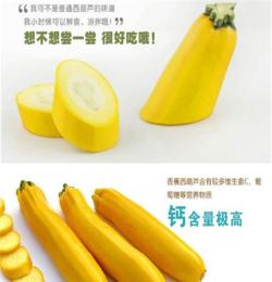 美洲品種香蕉西湖形似香蕉黃色果皮