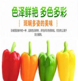 天津綠色蔬菜彩椒營養(yǎng)健康