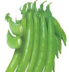 常年季节性供应甜豌豆豇豆等农副产品