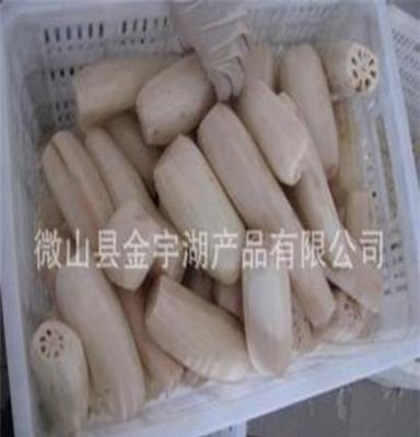金宇湖产品大量供应优质水生藕片