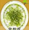 云南特产 食用鲜花 山野菜批发 清水棠梨花 绿色蔬菜特价批发