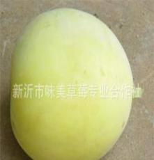 徐州味美 长期供应 新鲜优质 甜瓜