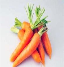 批发新鲜蔬菜 胡萝卜 绿色健康食品 自产胡萝卜