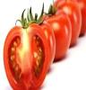 大量供应无公害优质西红柿 番茄，量大价优