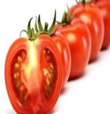 新鲜蔬菜——西红柿