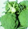 绿色保健蔬菜 花菜