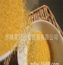 厂家专业提供 精选一等东北小米 优质无公害小米