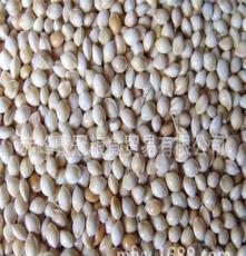 厂家直销 优质有机无公害黍子 东北健康黍子价格优惠