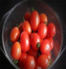 宏鸿集团--长沙分公司食材配送-番茄