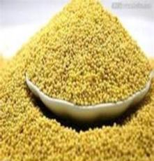 特级农家优质有米油小米 小黄米 黄小米 500g 月子米 安神养胃