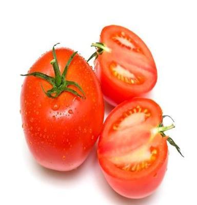 绿色食品 专业种植供应纯天然绿色产品 西红柿 番茄