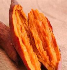 提供湛江无公害优质西瓜红红薯批发 新鲜西瓜红红薯