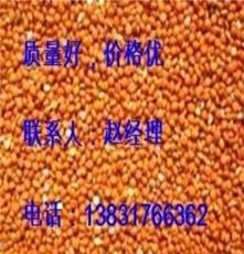 长期大量批发销售黄米/黍子米/红红黍子米