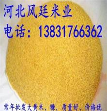 风廷米业常年批发大黄米