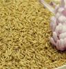 珍之韵 燕麦米 杂粮 燕麦仁 东北特产 有机农 粗粮 降压减肥