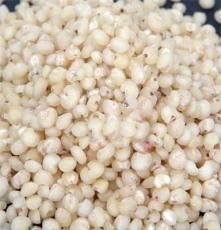 常年供应 优质 黑山高粱米 粗粮精品