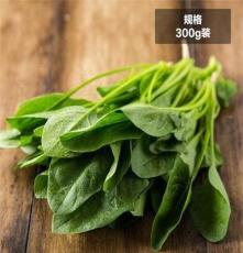 精选菠菜300g 新鲜蔬菜火锅食材