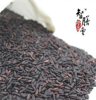 厂家直供 熟黑米 五谷养生粉 现磨豆浆原料 低温烘焙